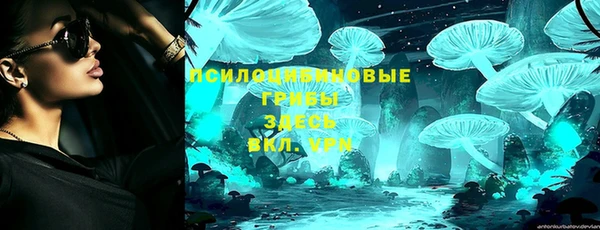 PSILOCYBIN Елизово