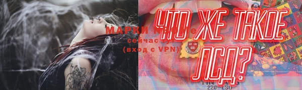 PSILOCYBIN Елизово